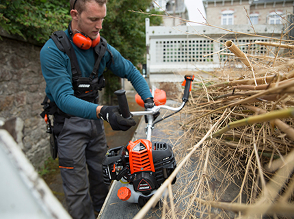 Essential Fall Yard Work: What to Do with Your Trimmer and Chainsaw 